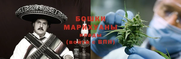эйфоретик Ельня