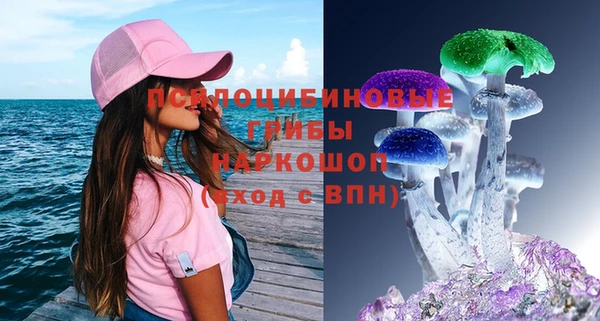 эйфоретик Ельня
