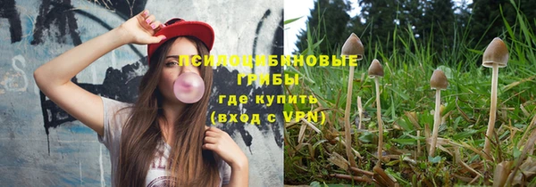 эйфоретик Ельня