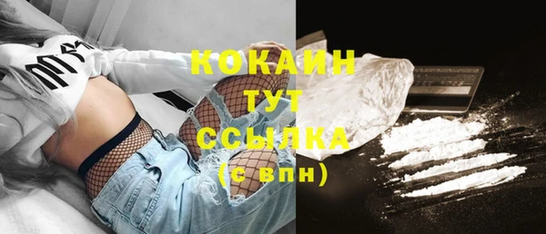эйфоретик Ельня
