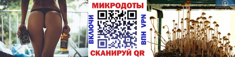 Купить где  Пущино  Псилоцибиновые грибы ЛСД 